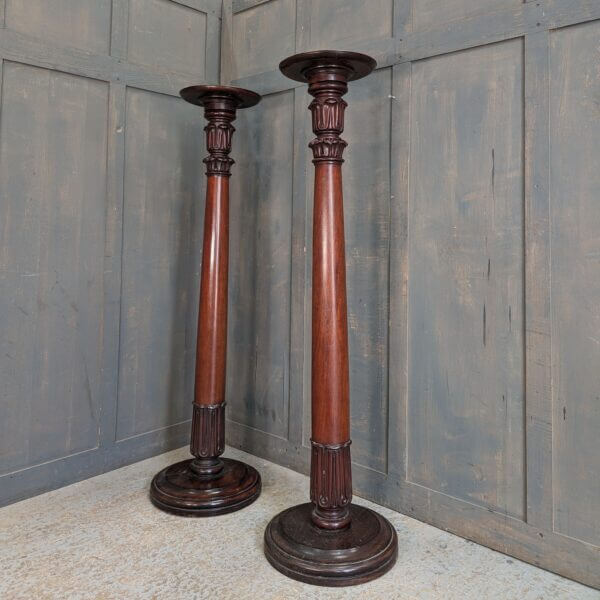 Pair of William IV Mahogany Torchere Plant or Candle Stands