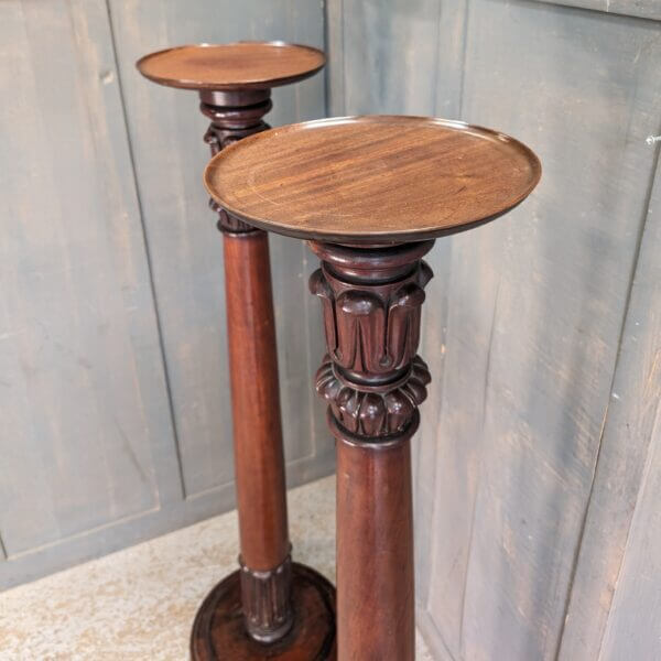 Pair of William IV Mahogany Torchere Plant or Candle Stands