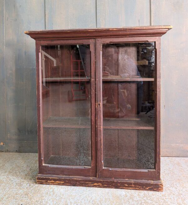 Small Painted Antique Pine Glazed Cabinet Bookcase with Three Shelves