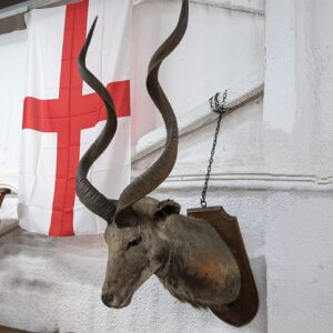 Taxidermy Kudu Head Possible Missionary Souvenir from The Burrswood Christian Retreat Tunbridge Wells by repute