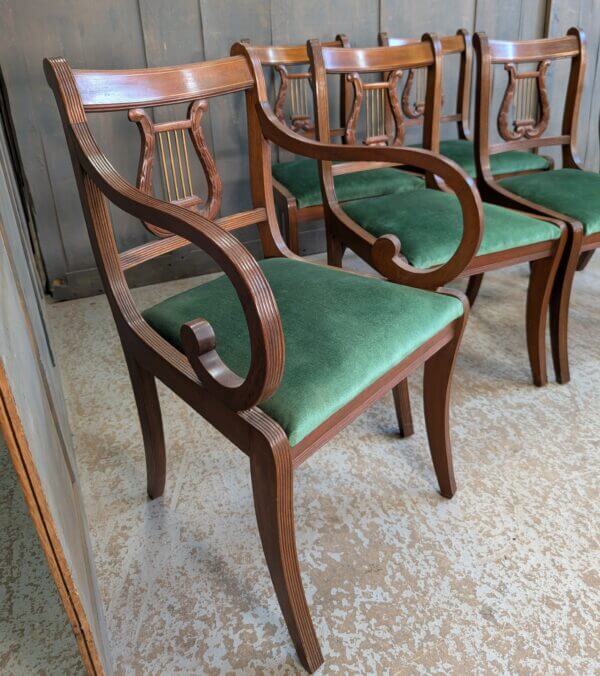 Six Reproduction Regency Style Lyre back Dining Chairs - BARGAIN-