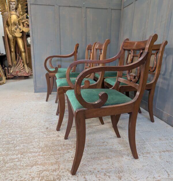 Six Reproduction Regency Style Lyre back Dining Chairs - BARGAIN-