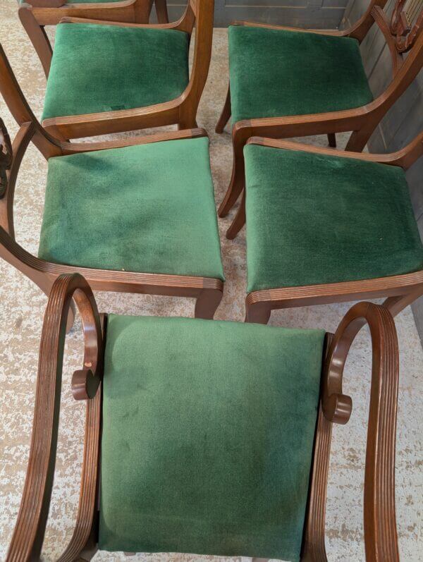 Six Reproduction Regency Style Lyre back Dining Chairs - BARGAIN-