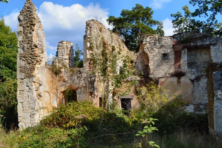 The ruined stone walls of Betchworth Castle, with arched openings and an old brick doorway, overgrown with greenery under a blue summer sky