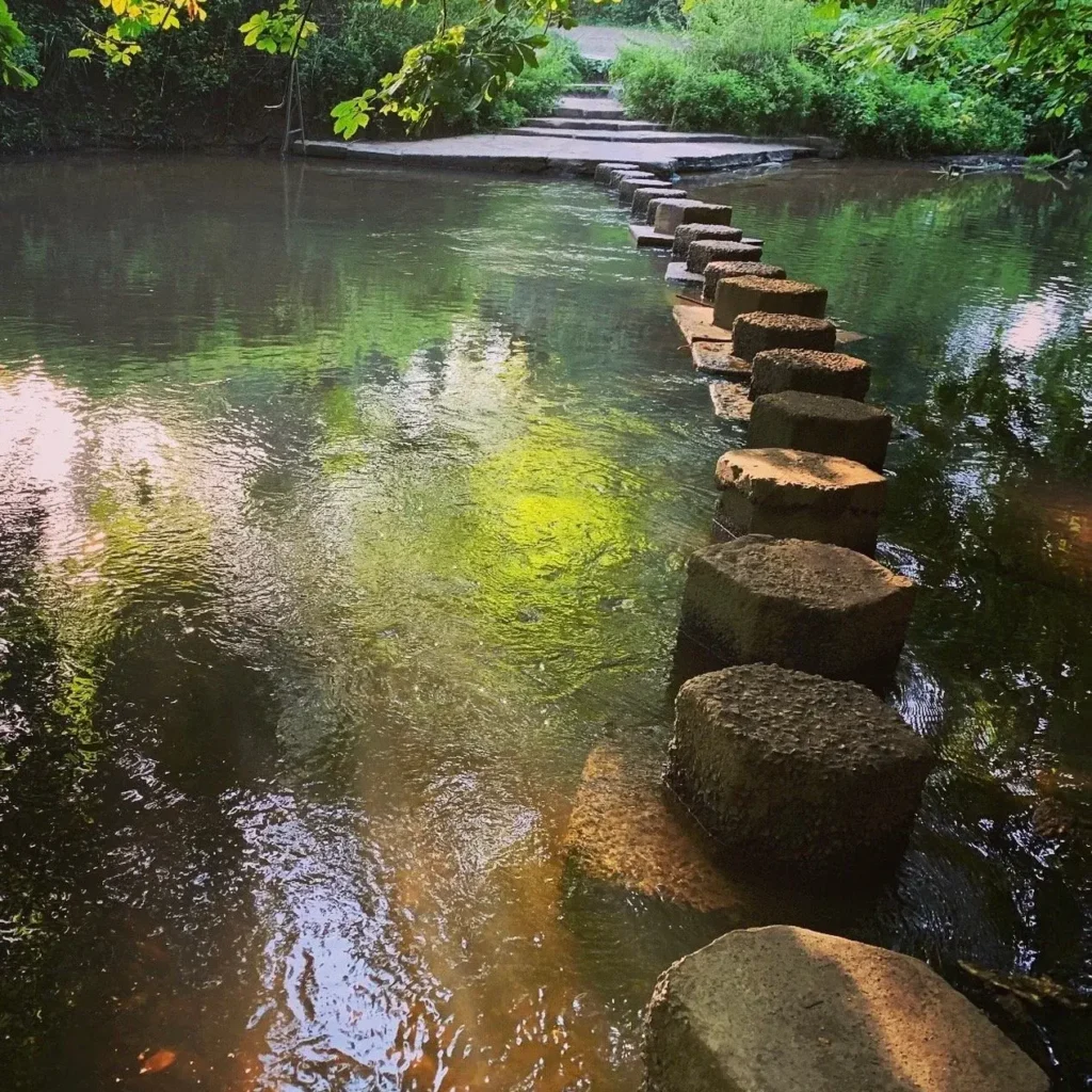 A line of octagonal stepping stones crossing the still, green River Mole at the foot of Box Hill, with golden light on the water and steps up into the trees beyond