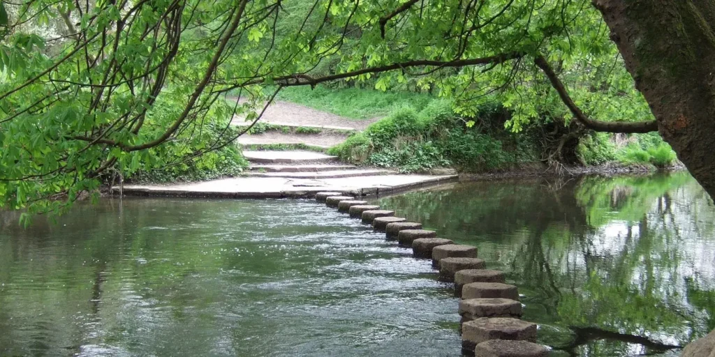 Stepping stones crossing the River Mole beneath overhanging spring branches, with stone steps leading up into the woods of Box Hill